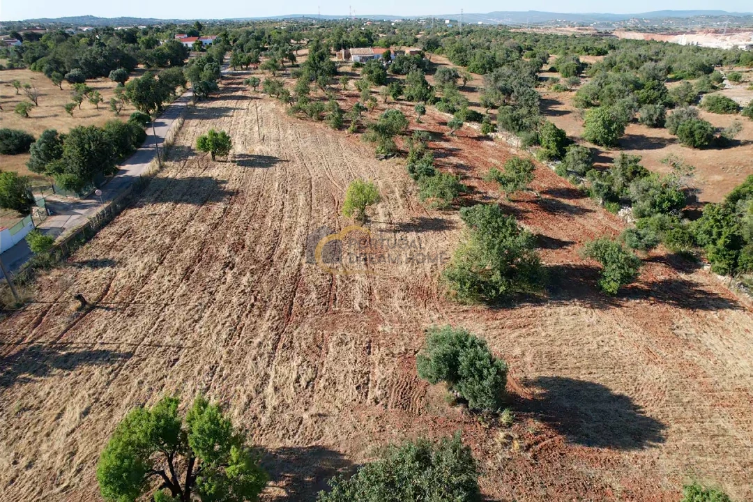 Terreno Agricola ou Rústico para Venda em Ferreiras Foto 14
