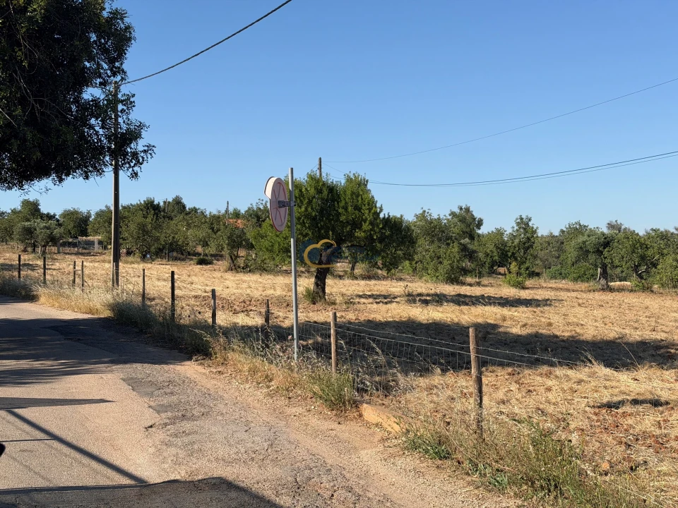Terreno Agricola ou Rústico para Venda em Ferreiras Foto 5