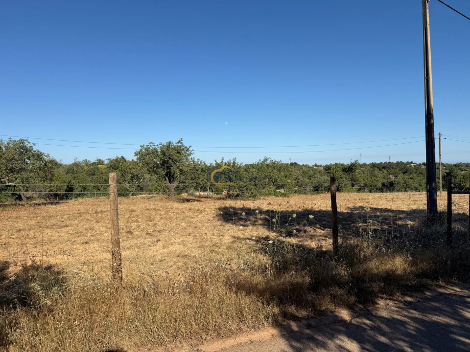 Terreno Agricola ou Rústico para Venda em Ferreiras Foto 2