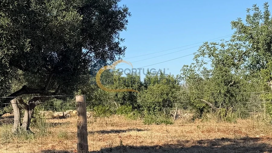 Terreno Agricola ou Rústico para Venda em Ferreiras