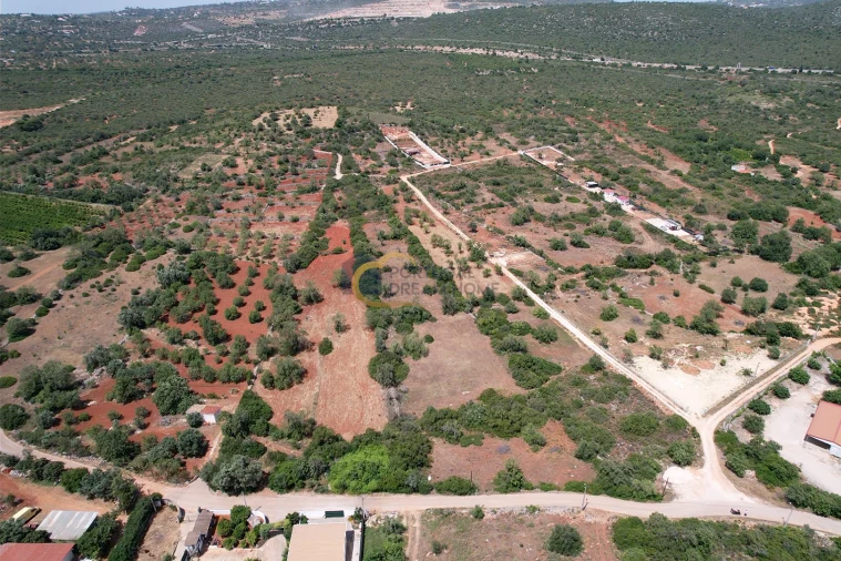 Terreno Agricola ou Rústico para Venda em Boliqueime Foto 6