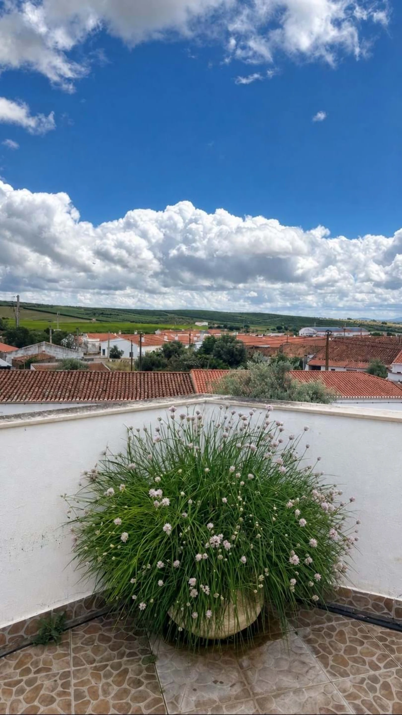 Moradia T4 para Venda em Pedrogão Foto 27