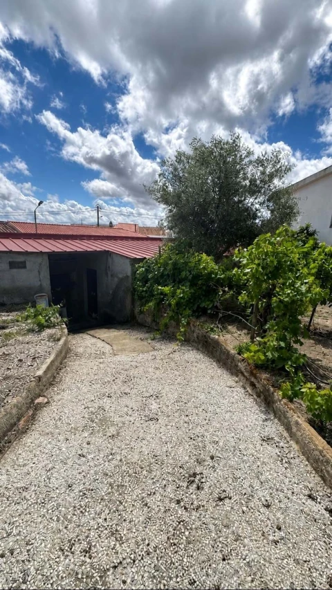 Armazém para Venda em Pedrogão