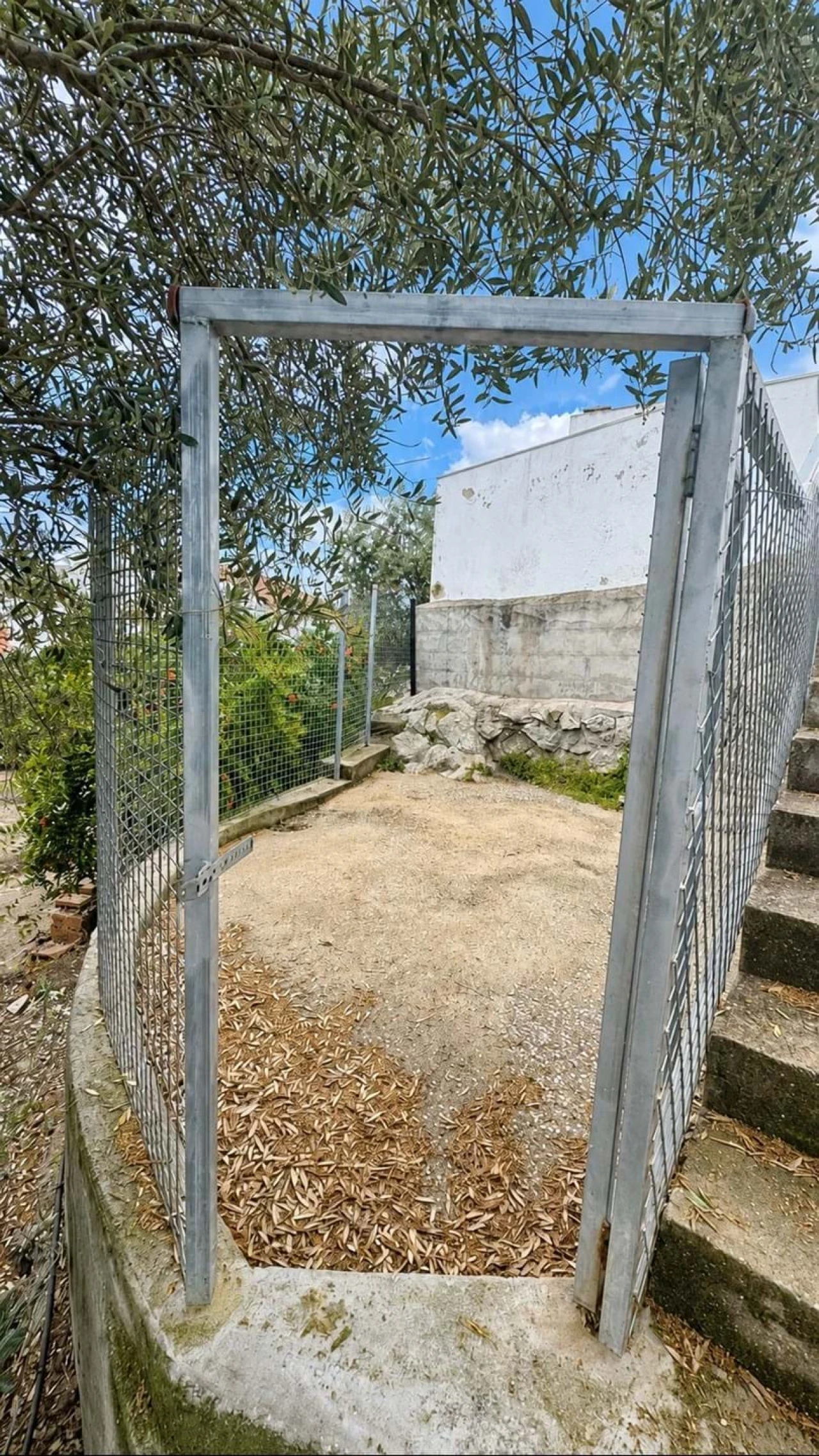 Armazém para Venda em Pedrogão Foto 10