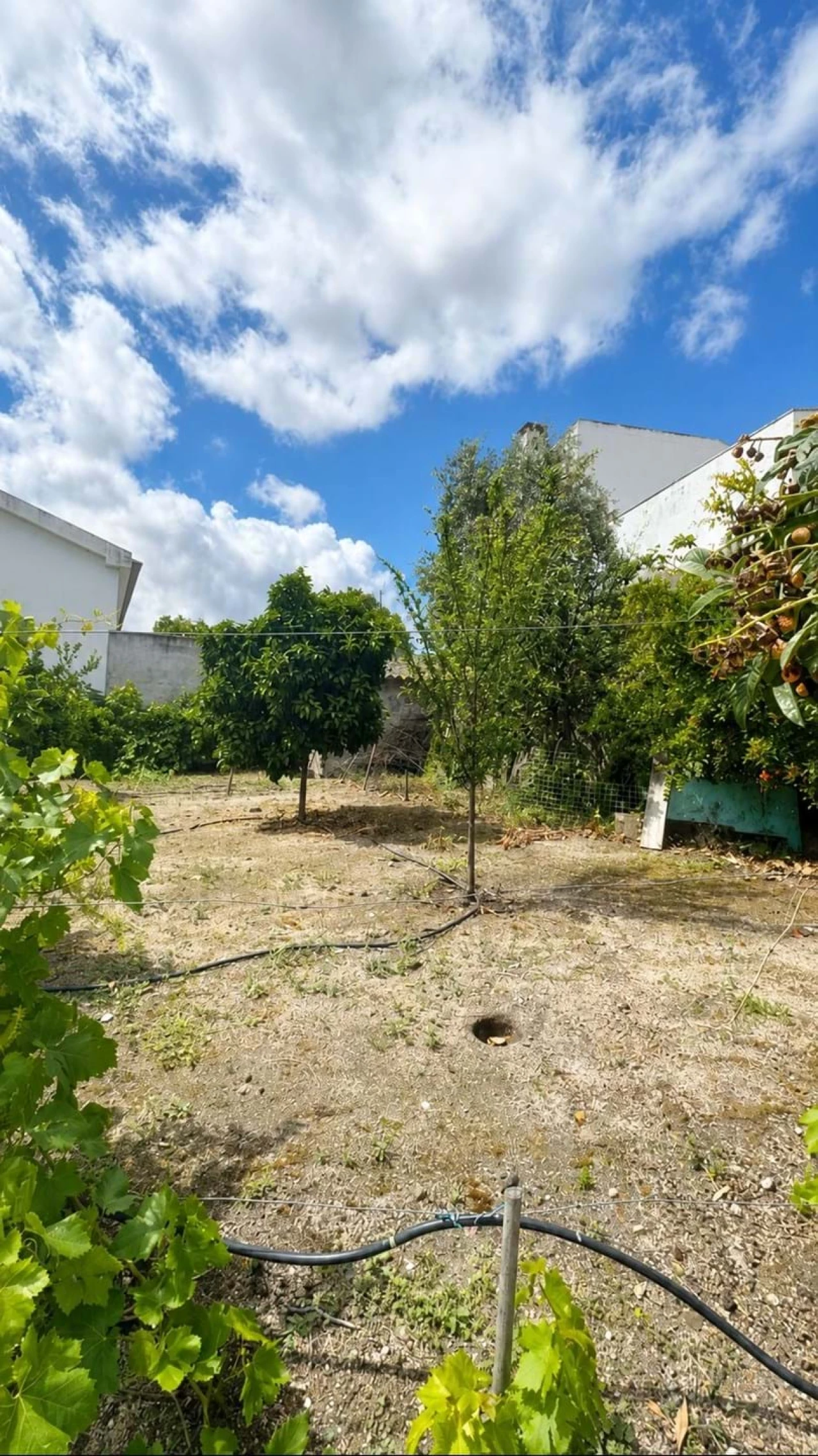 Armazém para Venda em Pedrogão Foto 8