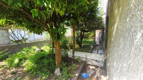 Moradia T3 para Venda em Palmeira