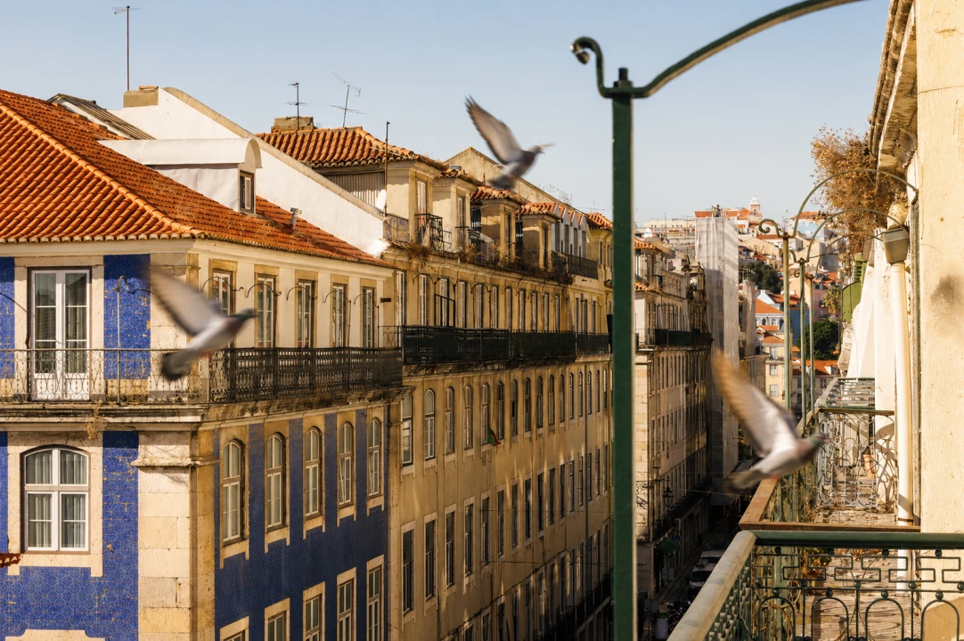 Apartamento T2 para Venda em Santa Maria Maior Foto 21