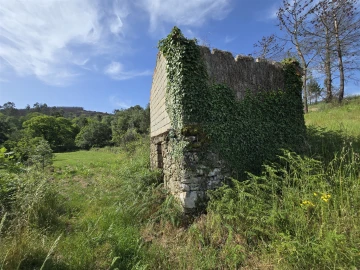 Terreno Agricola ou Rústico para Venda em Castelo de Penalva