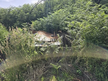 Terreno Agricola ou Rústico para Venda em Castelo de Penalva