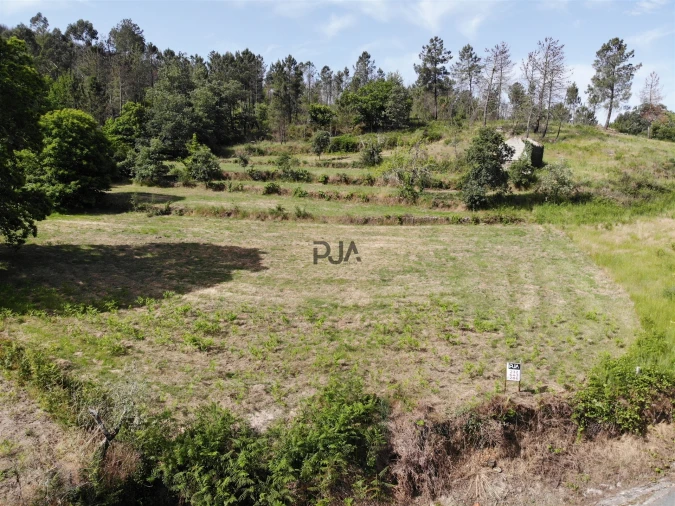 Terreno Agricola ou Rústico para Venda em Castelo de Penalva Foto 3