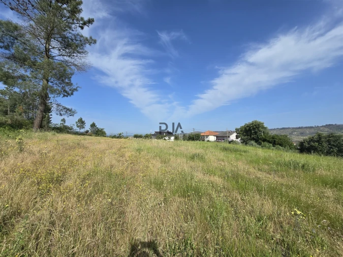Terreno Agricola ou Rústico para Venda em Castelo de Penalva Foto 6