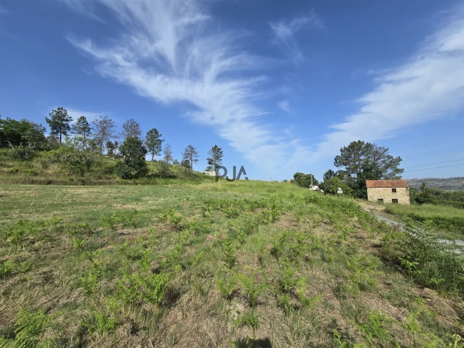 Terreno Agricola ou Rústico para Venda em Castelo de Penalva Foto 7