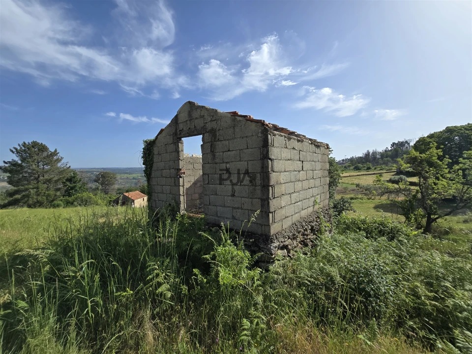 Terreno Agricola ou Rústico para Venda em Castelo de Penalva Foto 12