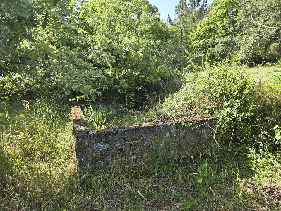 Terreno Agricola ou Rústico para Venda em Castelo de Penalva Foto 10