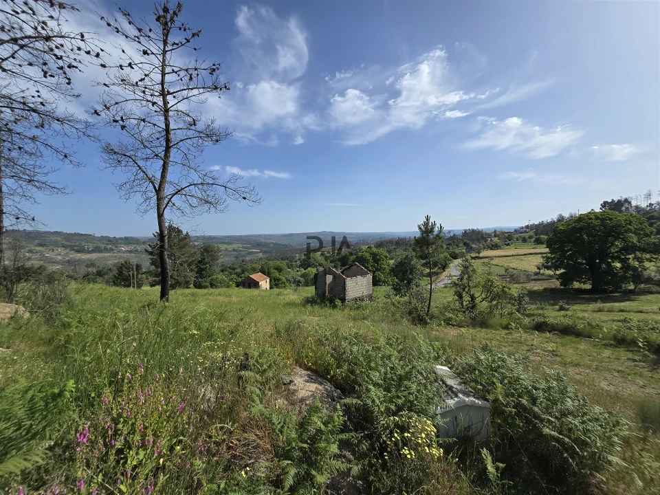 Terreno Agricola ou Rústico para Venda em Castelo de Penalva Foto 2