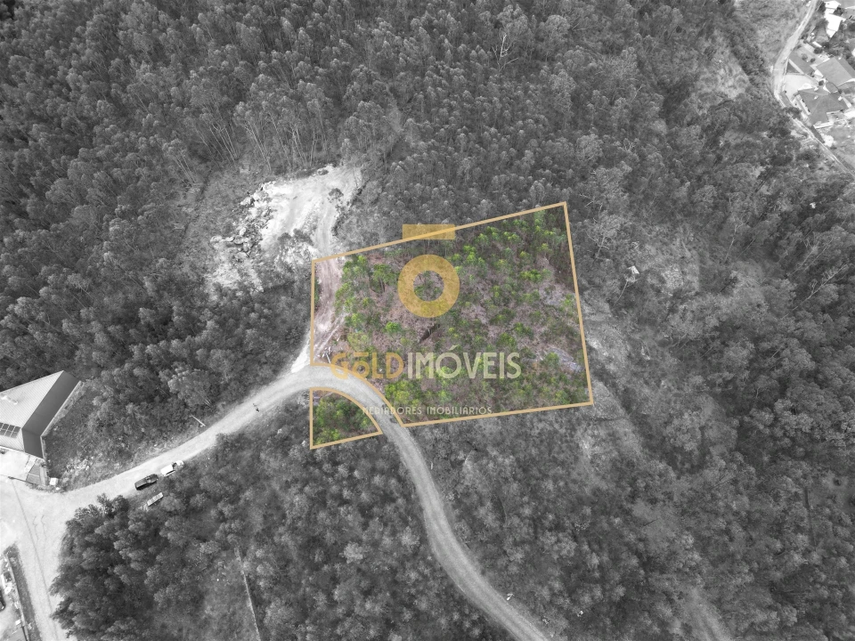 Terreno Agricola ou Rústico para Venda em Alpendorada, Várzea e Torrão Foto 1