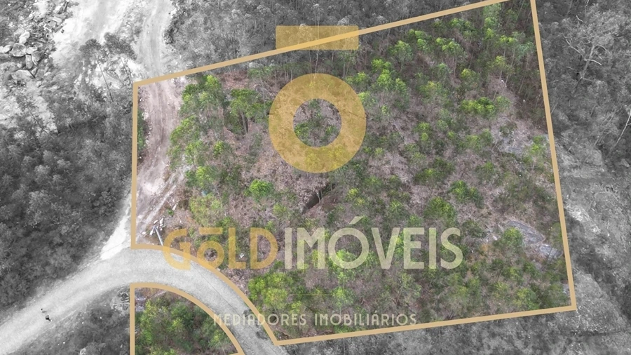 Terreno Agricola ou Rústico para Venda em Alpendorada, Várzea e Torrão