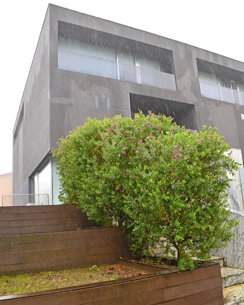 Moradia T4 para Arrendamento em Aldoar, Foz do Douro e Nevogilde