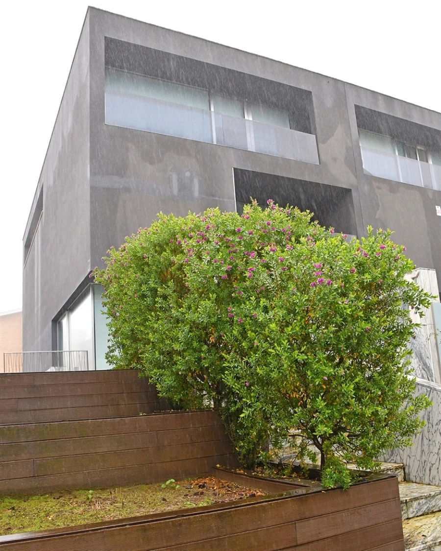Moradia T4 para Arrendamento em Aldoar, Foz do Douro e Nevogilde Foto 21