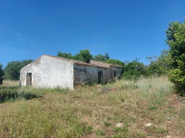 Terreno para Venda em Santa Barbara de Nexe