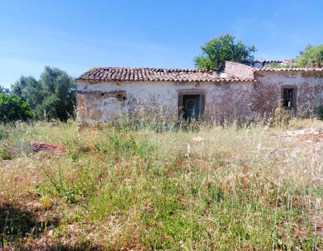 Terreno para Venda em Santa Barbara de Nexe Foto 9