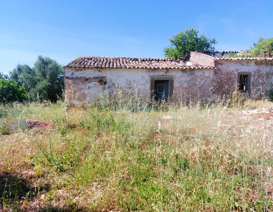 Terreno para Venda em Santa Barbara de Nexe Foto 9