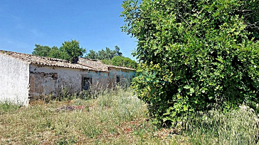 Terreno Misto para Venda em Santa Barbara de Nexe