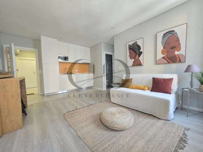 Apartamento T1 para Venda em Santa Marinha e São Pedro da Afurada Foto 2