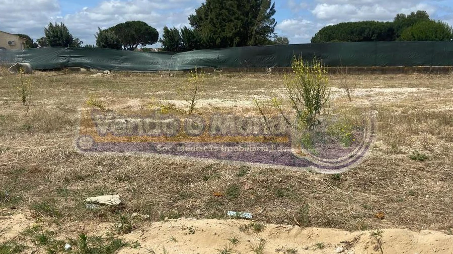 Terreno para Venda em Salvaterra de Magos e Foros de Salvaterra