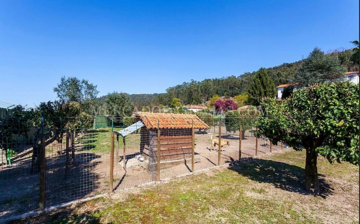 Quinta T7 para Venda em Monte Córdova Foto 9