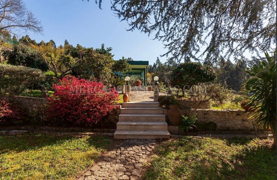 Quinta T7 para Venda em Monte Córdova Foto 4