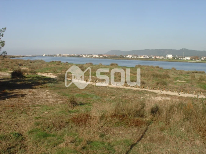 Moradia T3 para Venda em Apúlia e Fão Foto 14