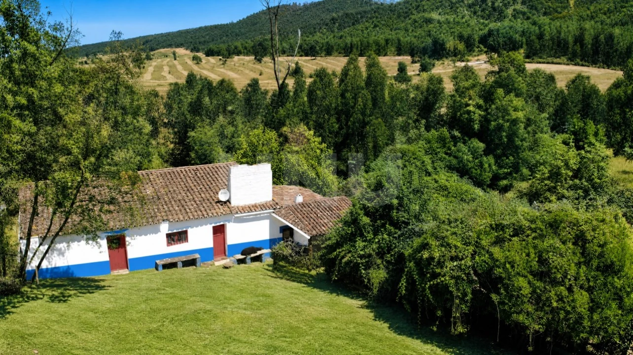 Quinta T6 para Venda em Gloria Foto 2