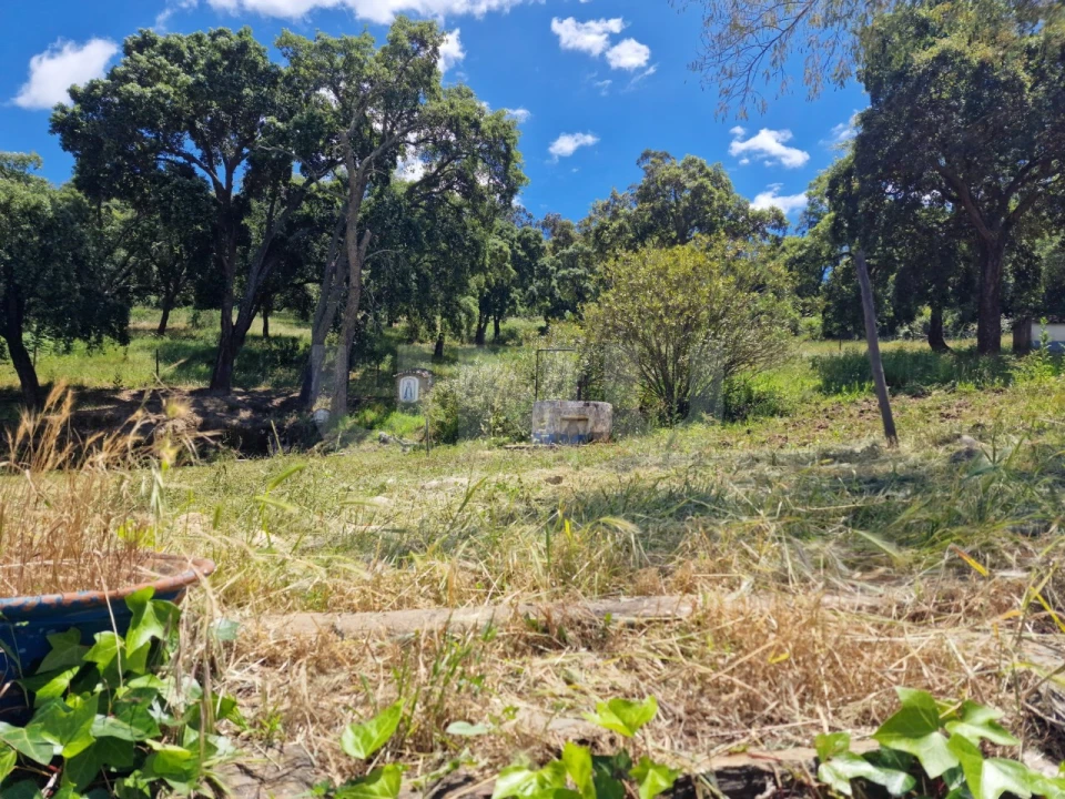 Quinta T6 para Venda em Gloria Foto 28