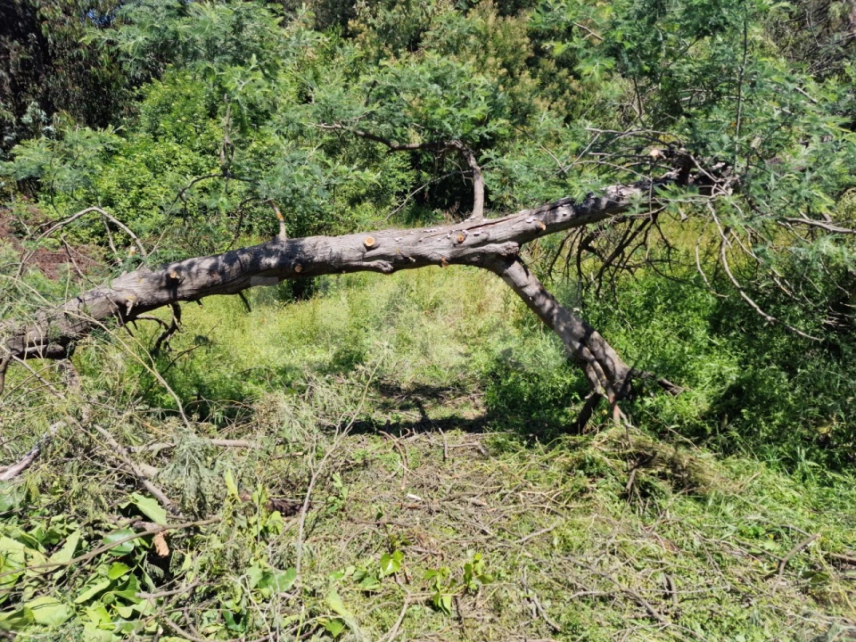 Quinta T6 para Venda em Gloria Foto 39