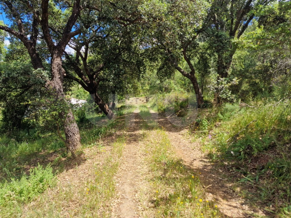 Quinta T6 para Venda em Gloria Foto 47