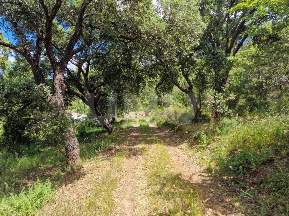 Quinta T6 para Venda em Gloria Foto 48