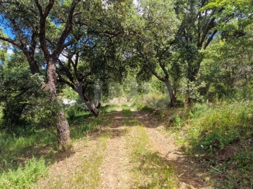 Quinta T6 para Venda em Gloria