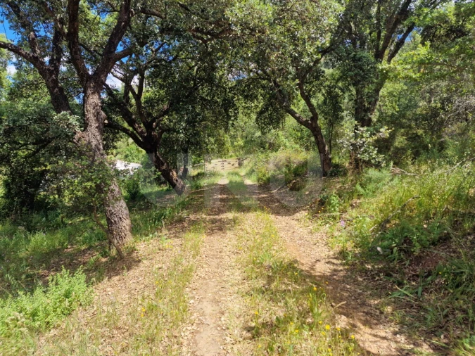 Quinta T6 para Venda em Gloria Foto 47