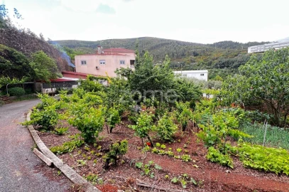 Terreno para Venda em Pampilhosa da Serra