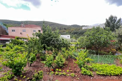 Terreno para Venda em Pampilhosa da Serra