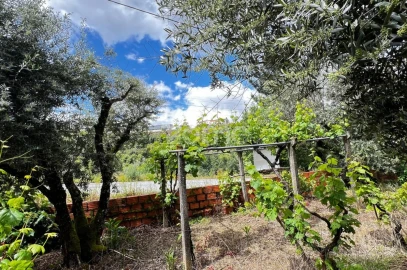Terreno para Venda em Pampilhosa da Serra
