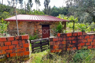Terreno para Venda em Pampilhosa da Serra