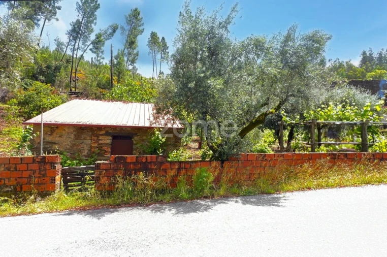 Terreno para Venda em Pampilhosa da Serra Foto 3