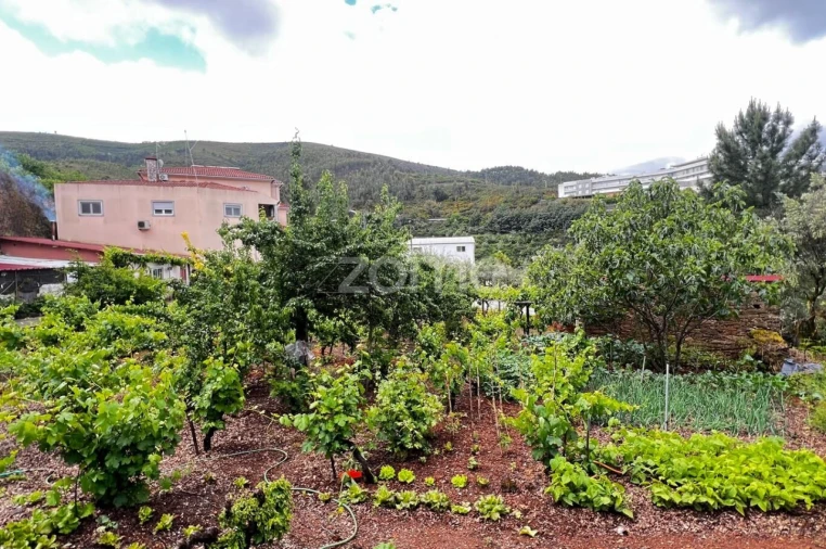 Terreno para Venda em Pampilhosa da Serra Foto 2