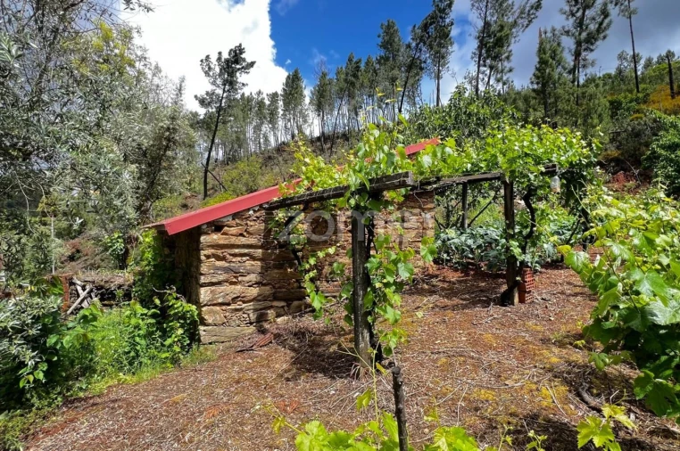 Terreno para Venda em Pampilhosa da Serra Foto 6