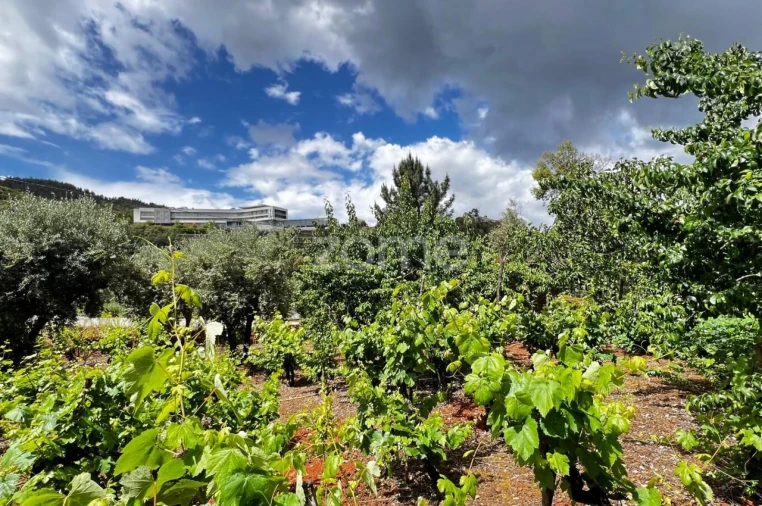 Terreno para Venda em Pampilhosa da Serra Foto 7