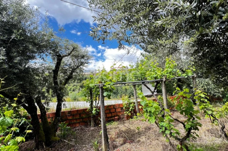 Terreno para Venda em Pampilhosa da Serra Foto 8