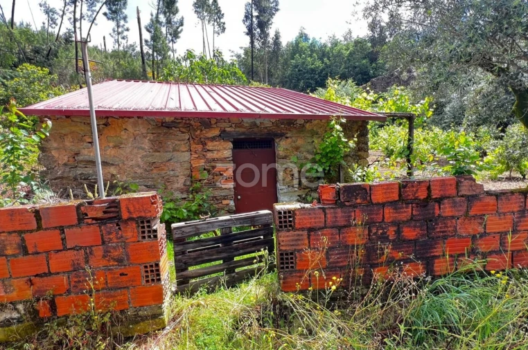 Terreno para Venda em Pampilhosa da Serra Foto 10