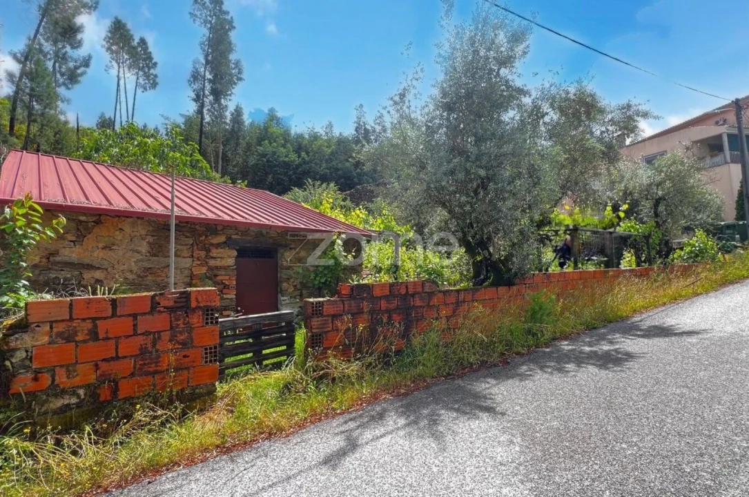 Terreno para Venda em Pampilhosa da Serra Foto 19